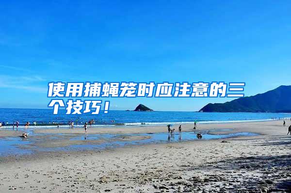 使用捕蠅籠時應(yīng)注意的三個技巧！
