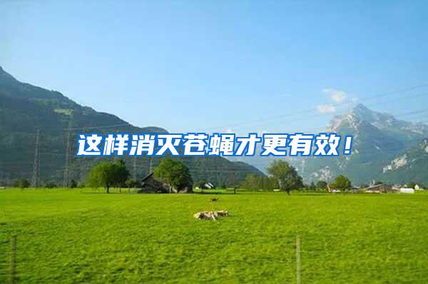 這樣消滅蒼蠅才更有效！