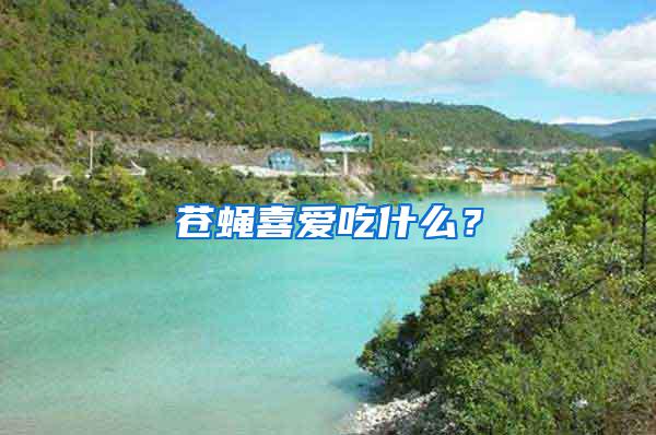 蒼蠅喜愛(ài)吃什么？
