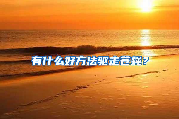 有什么好方法驅走蒼蠅？