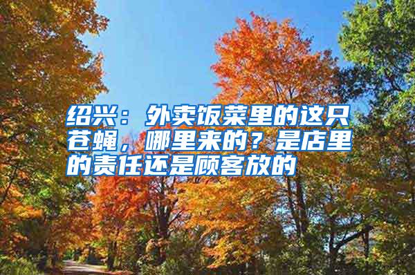 紹興：外賣飯菜里的這只蒼蠅，哪里來的？是店里的責任還是顧客放的
