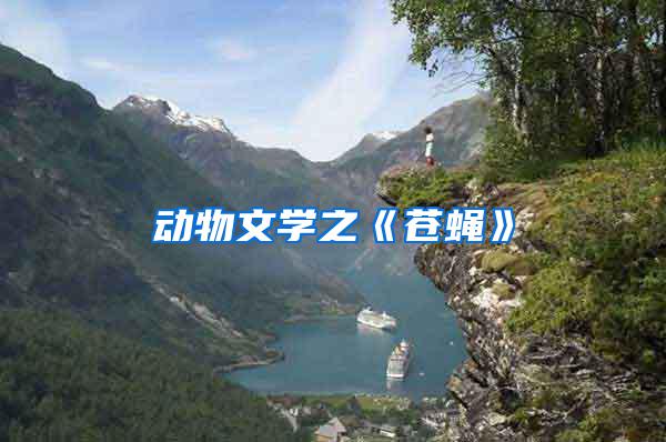動(dòng)物文學(xué)之《蒼蠅》