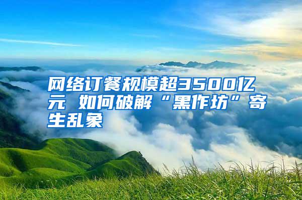 網(wǎng)絡(luò)訂餐規(guī)模超3500億元 如何破解“黑作坊”寄生亂象