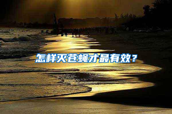 怎樣滅蒼蠅才最有效？
