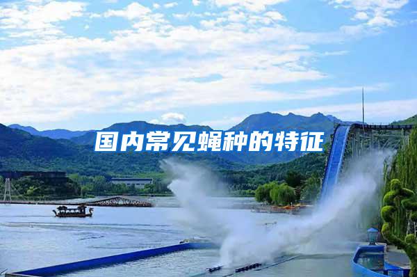 國內(nèi)常見蠅種的特征