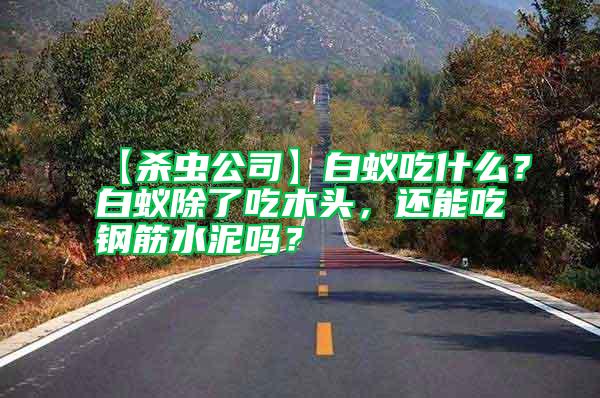 【殺蟲公司】白蟻吃什么？白蟻除了吃木頭，還能吃鋼筋水泥嗎？