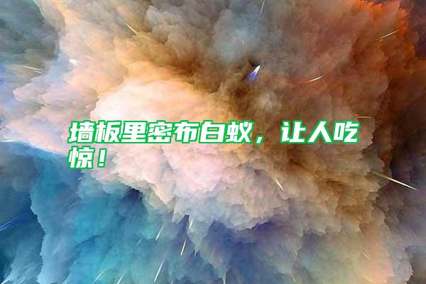 墻板里密布白蟻，讓人吃驚！