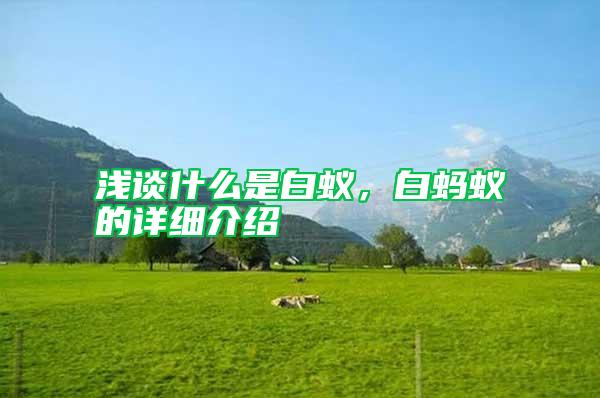 淺談什么是白蟻，白螞蟻的詳細介紹