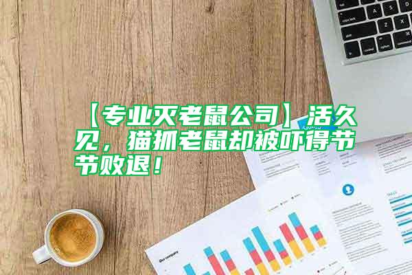 【專業(yè)滅老鼠公司】活久見，貓抓老鼠卻被嚇得節(jié)節(jié)敗退！