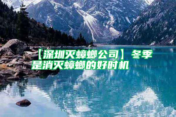 【深圳滅蟑螂公司】冬季是消滅蟑螂的好時(shí)機(jī)
