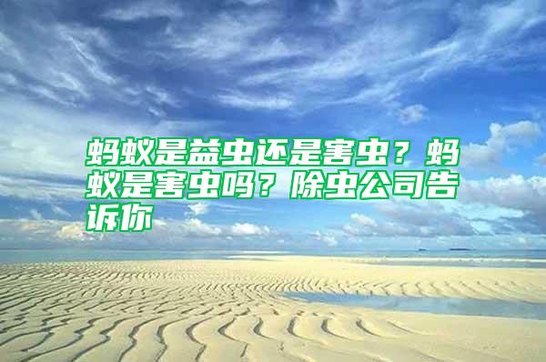 螞蟻是益蟲還是害蟲？螞蟻是害蟲嗎？除蟲公司告訴你