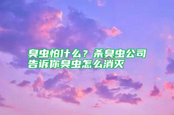 臭蟲怕什么？殺臭蟲公司告訴你臭蟲怎么消滅