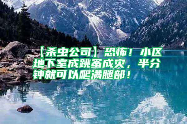【殺蟲公司】恐怖！小區地下室成跳蚤成災，半分鐘就可以爬滿腿部！