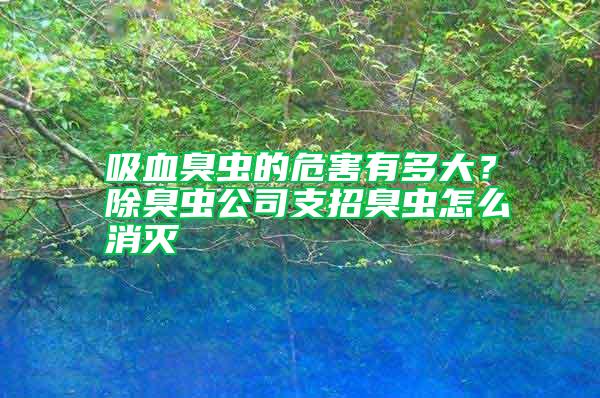 吸血臭蟲的危害有多大？除臭蟲公司支招臭蟲怎么消滅