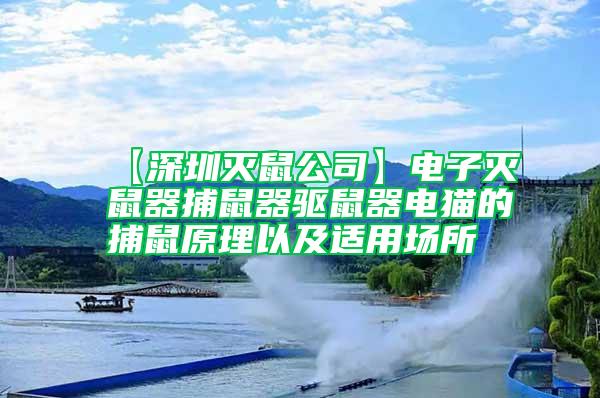 【深圳滅鼠公司】電子滅鼠器捕鼠器驅鼠器電貓的捕鼠原理以及適用場所