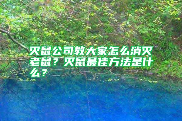 滅鼠公司教大家怎么消滅老鼠？滅鼠最佳方法是什么？