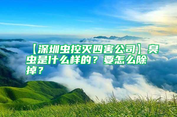 【深圳蟲控滅四害公司】臭蟲是什么樣的？要怎么除掉？