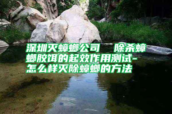 深圳滅蟑螂公司  除殺蟑螂膠餌的起效作用測(cè)試-怎么樣滅除蟑螂的方法
