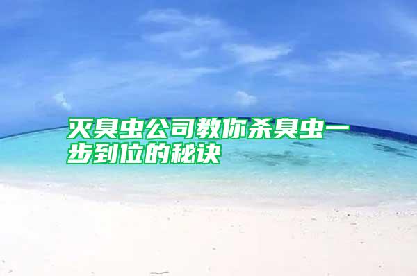滅臭蟲(chóng)公司教你殺臭蟲(chóng)一步到位的秘訣