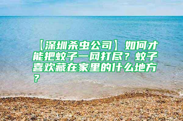【深圳殺蟲公司】如何才能把蚊子一網(wǎng)打盡？蚊子喜歡藏在家里的什么地方？