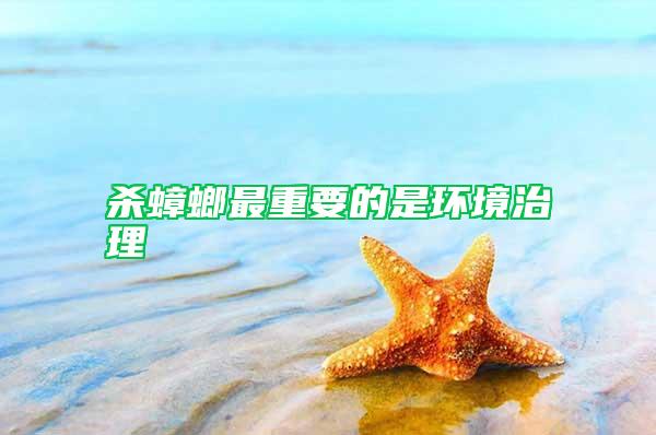 殺蟑螂最重要的是環境治理