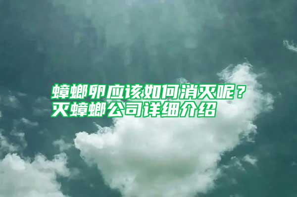 蟑螂卵應(yīng)該如何消滅呢？滅蟑螂公司詳細(xì)介紹