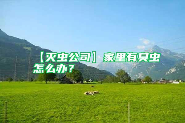 【滅蟲公司】家里有臭蟲怎么辦？