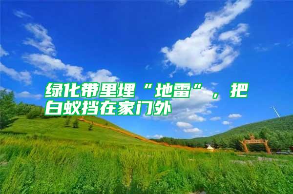 綠化帶里埋“地雷”，把白蟻擋在家門外
