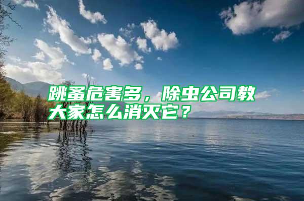 跳蚤危害多，除蟲公司教大家怎么消滅它？