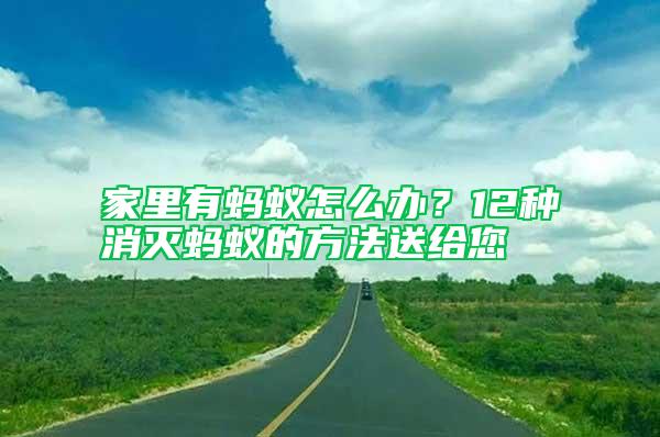 家里有螞蟻怎么辦？12種消滅螞蟻的方法送給您