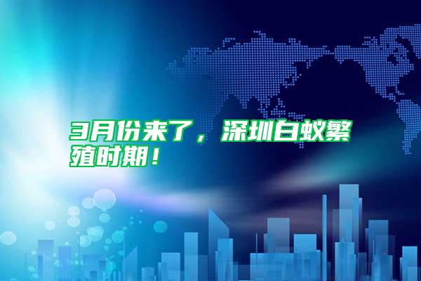 3月份來了，深圳白蟻繁殖時期！