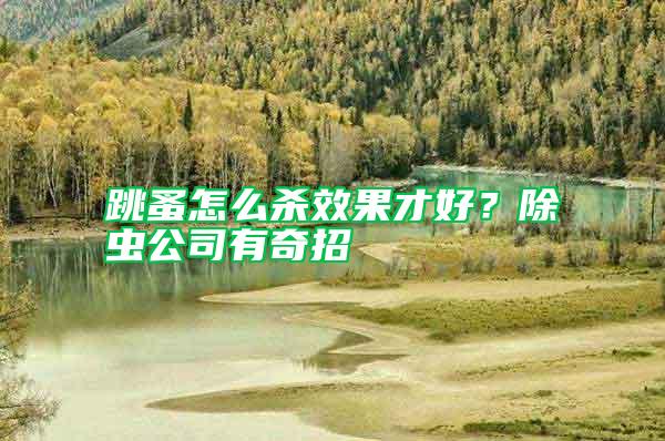 跳蚤怎么殺效果才好？除蟲公司有奇招