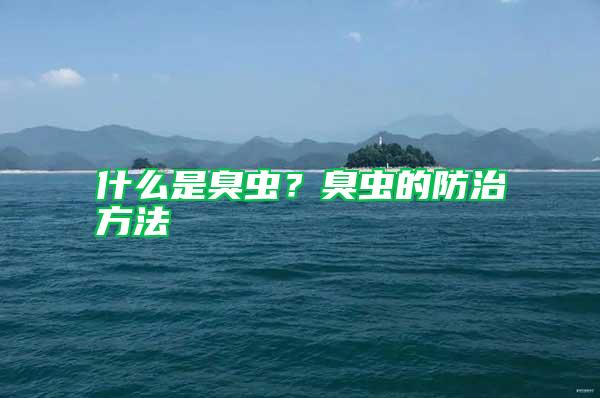 什么是臭蟲？臭蟲的防治方法