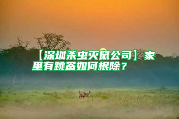 【深圳殺蟲滅鼠公司】家里有跳蚤如何根除？