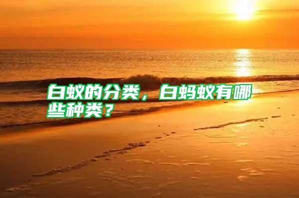 白蟻的分類(lèi)，白螞蟻有哪些種類(lèi)？