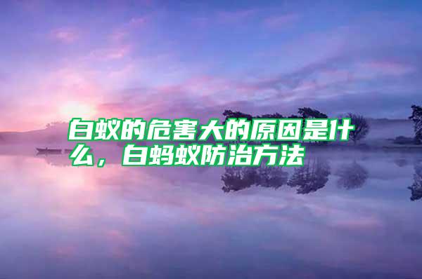 白蟻的危害大的原因是什么，白螞蟻防治方法