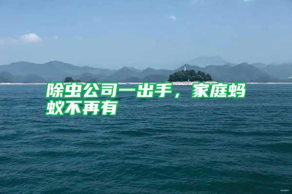 除蟲公司一出手，家庭螞蟻不再有