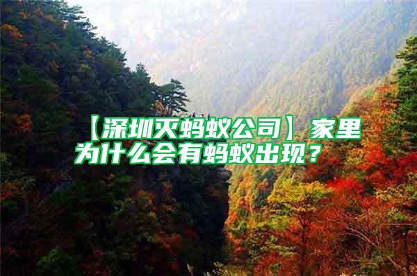 【深圳滅螞蟻公司】家里為什么會(huì)有螞蟻出現(xiàn)？