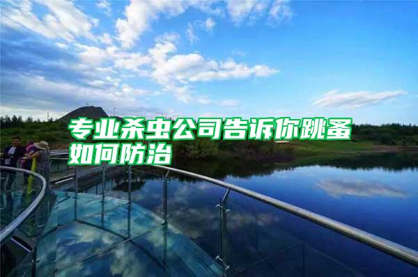 專(zhuān)業(yè)殺蟲(chóng)公司告訴你跳蚤如何防治