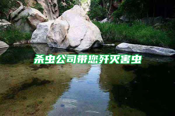 殺蟲(chóng)公司帶您殲滅害蟲(chóng)