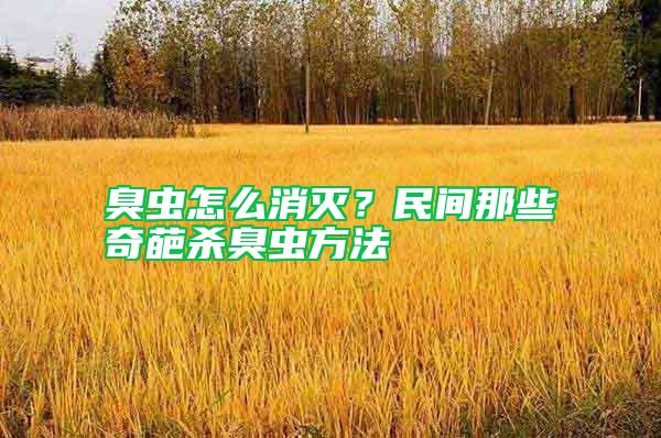 臭蟲怎么消滅？民間那些奇葩殺臭蟲方法