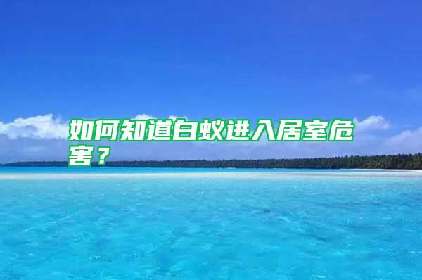 如何知道白蟻進(jìn)入居室危害？