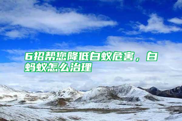6招幫您降低白蟻危害，白螞蟻怎么治理