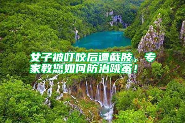 女子被叮咬后遭截肢，專家教您如何防治跳蚤！