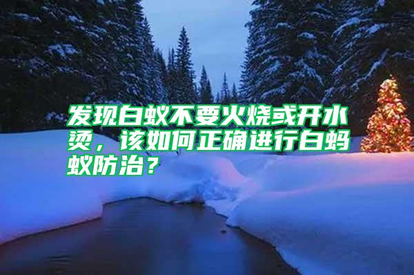 發現白蟻不要火燒或開水燙，該如何正確進行白螞蟻防治？