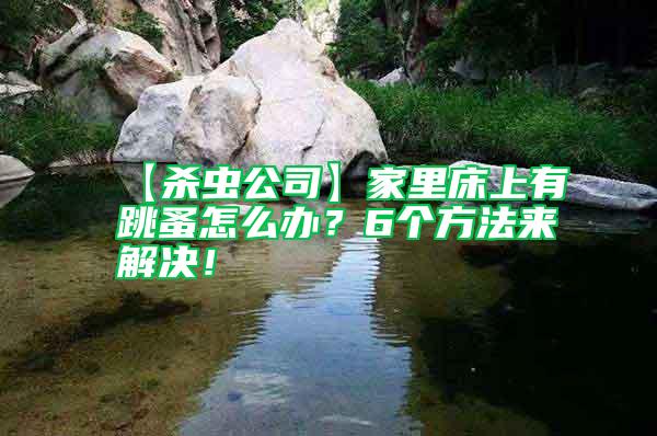 【殺蟲公司】家里床上有跳蚤怎么辦？6個方法來解決！
