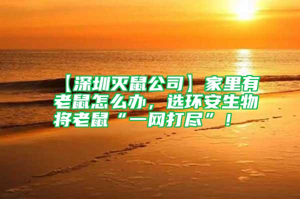 【深圳滅鼠公司】家里有老鼠怎么辦，選環安生物將老鼠“一網打盡”！