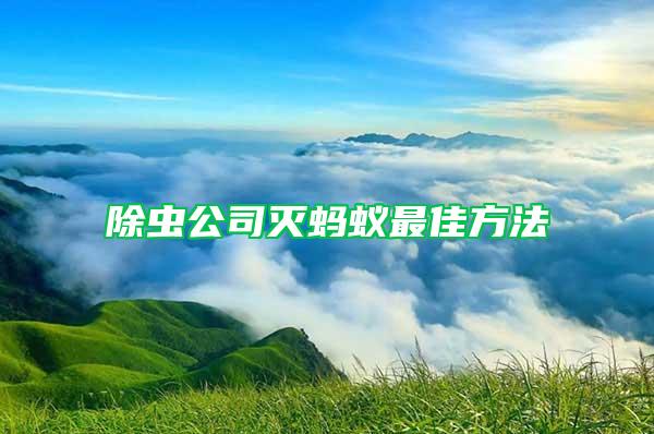 除蟲(chóng)公司滅螞蟻?zhàn)罴逊椒?/></p>
             <p style=