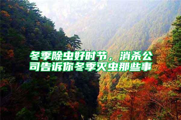 冬季除蟲好時節，消殺公司告訴你冬季滅蟲那些事