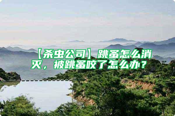 【殺蟲(chóng)公司】跳蚤怎么消滅，被跳蚤咬了怎么辦？